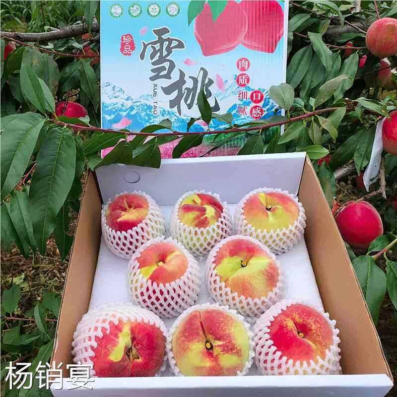 云南丽江高山雪桃新鲜水果佛寿冬桃当季整箱现摘现发脆桃天山血桃