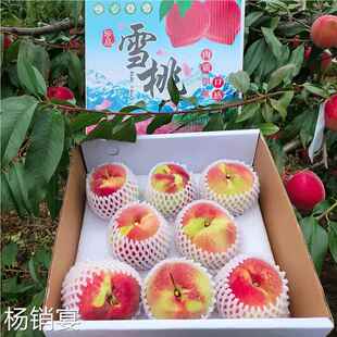 云南丽江高山雪桃新鲜水果佛寿冬桃当季整箱现摘现发脆桃天山血桃