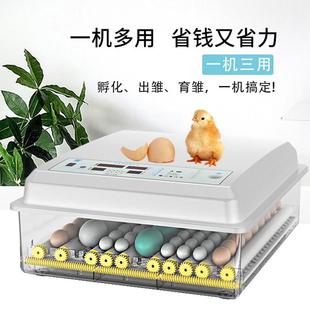 176枚孵蛋器 批发家用小型孵化器全自动恒温6 养殖智能迷你孵化机