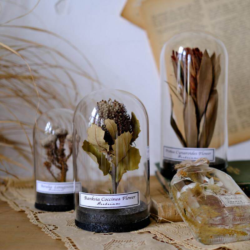 进口干花植物标本微景观玻璃套覆古饰品客厅展示软装创意生日礼物