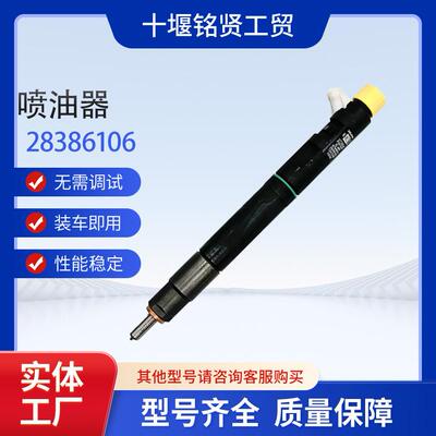 工厂德尔福柴油机共轨喷油器1042200FD020 28386106适用JAC