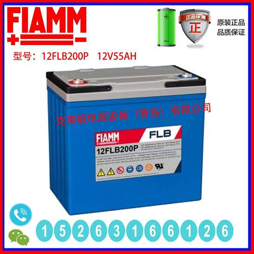 FIAMM蓄电池12FLB200P 12V55AH不间断电源长寿命安防设备