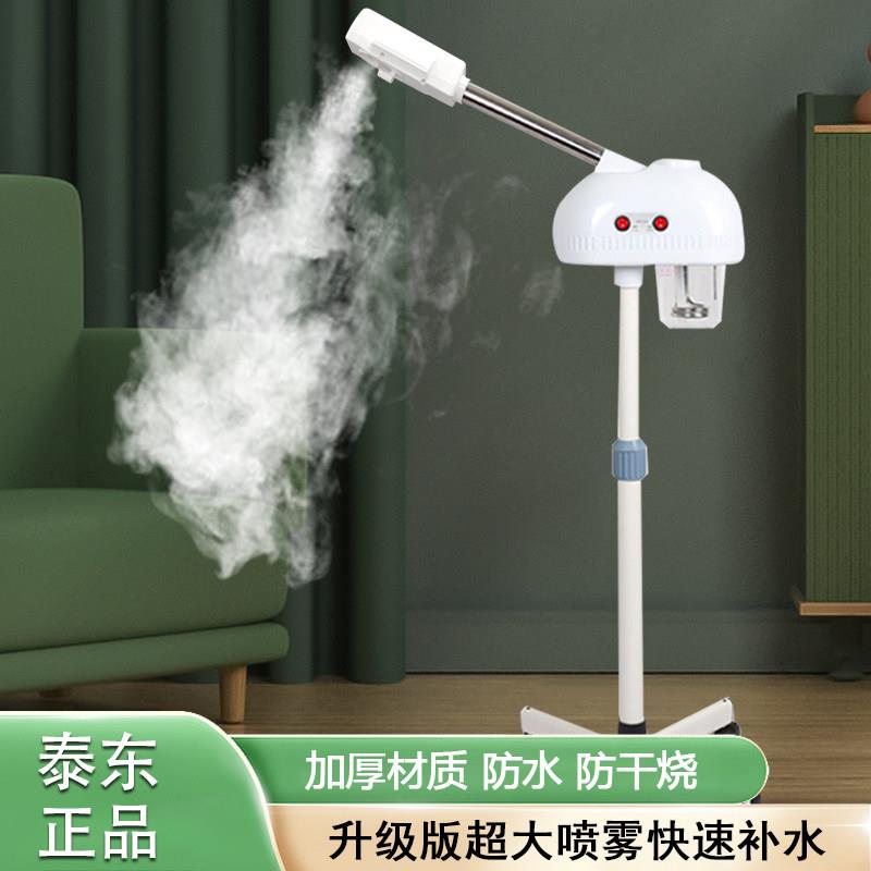 泰东冷热喷雾机美容仪美容院热喷蒸脸器冷热双喷脸部保湿疗仪家用