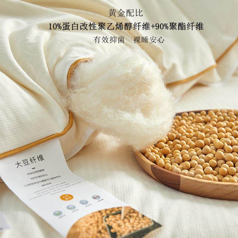 双33-001A母婴类级子大豆纤维被秋冬被春秋棉被芯二合一母加被厚