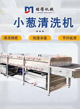铭得全自动香菜加工气泡清洗机果蔬加工清洗设备山清洗机器