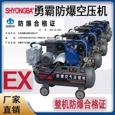 上海勇霸出售EXYB-1.1A单项防爆空气压缩机 220V经济款防爆打气泵