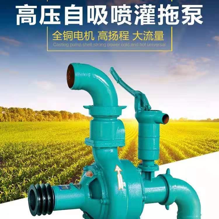 旭农手压离心泵高压喷灌水泵农用抽水泵单叶轮双叶轮高山抽水机