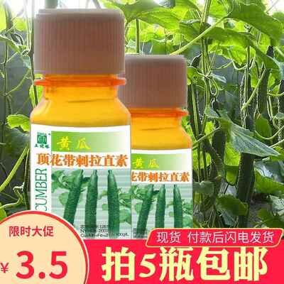 黄瓜疯狂热卖黄瓜顶花带刺拉直素专注瓜类生长黄瓜增直嫩瓜灵坐果