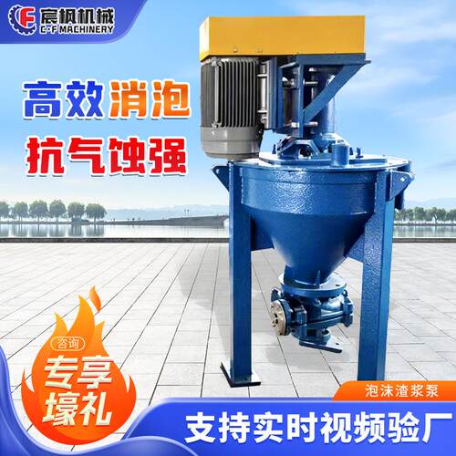 立式泡沫渣浆泵矿用高铬合金耐磨防腐蚀离心泵化工石油渣浆输送泵