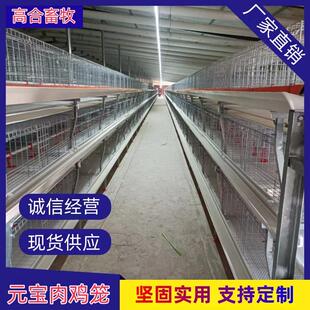 立体元宝肉鸡笼白食槽绿石槽厂家现货养鸡鸡舍镀锌外贸养殖笼