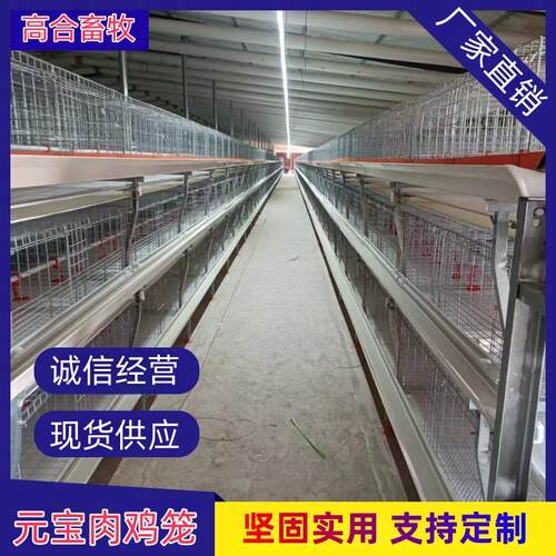 立体元宝肉鸡笼白食槽绿石槽厂家现货养鸡鸡舍镀锌外贸养殖笼