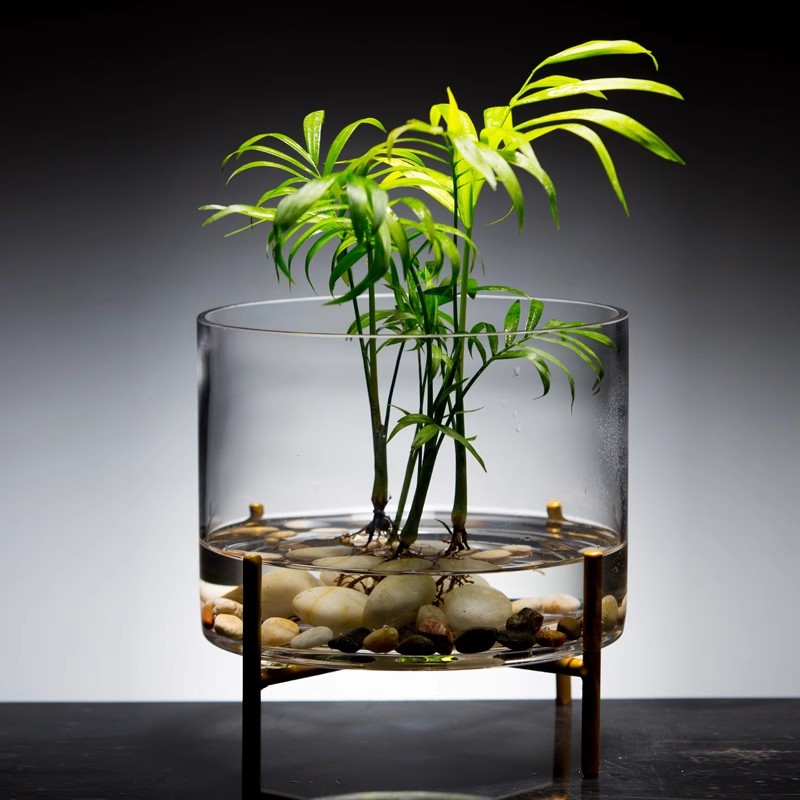 萝花瓶竹绿花盆新款水培圆形鱼缸水培创意植物玻璃富贵简约玻璃鱼