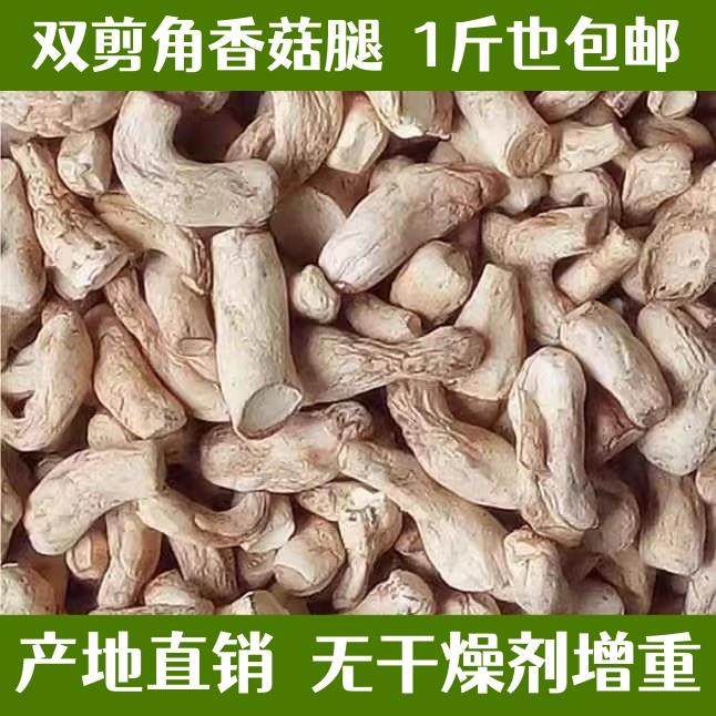 新货双剪香菇腿干货散装菇角菇丁柄根香姑梗包子馅料食材包邮