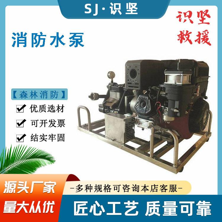 便携式手电双启动消防泵四冲程缸抽水泵120m大扬程灭火泵