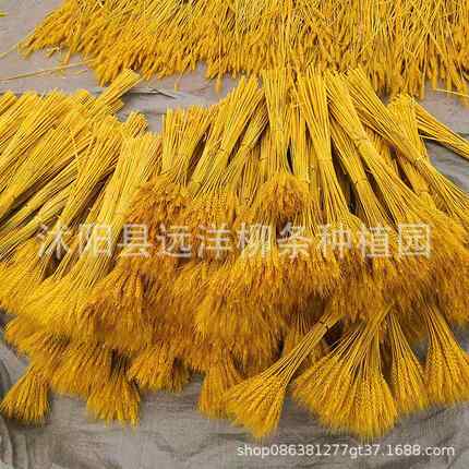 新款直销麦穗干花开业花篮大麦干花装饰干花花束 真麦子原色 麦穗