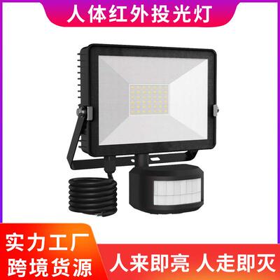 热卖PIR远红外LED人体感应投光灯泛光户外地石墨烯pir壁灯庭院灯