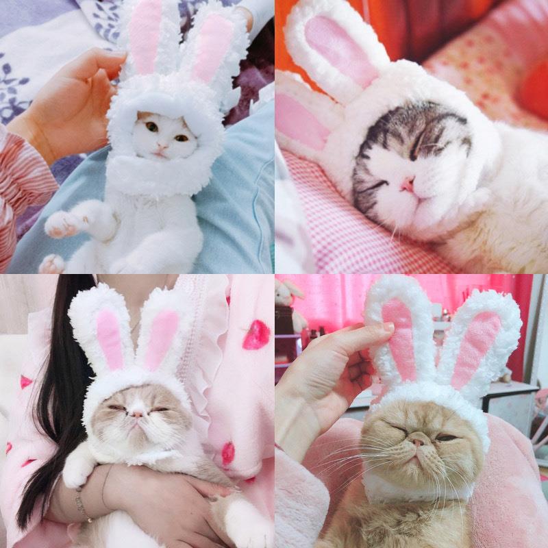 宠物用品亚马逊新款保暖猫咪头套 兔耳朵宠物帽子羊羔绒猫咪帽子