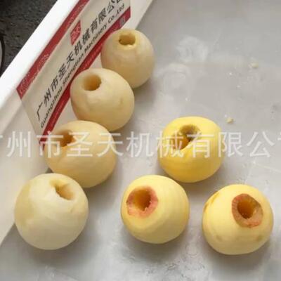 苹MSI果雪梨削皮去分瓣全一体机商用动柿子橙子桃核子削皮机自厂