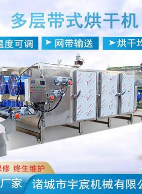 多层带式干燥机水果片排湿烘干生产设备无花果连续隧道式烘干机
