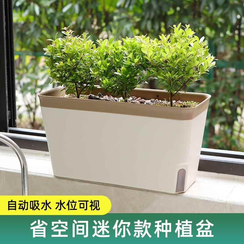 花植爱自吸水花盆 长条形桌面双层多肉种植塑料自吸水花盆