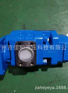 P5100-F100NM487 98/P124-G10YG宣工推土机工作 泵