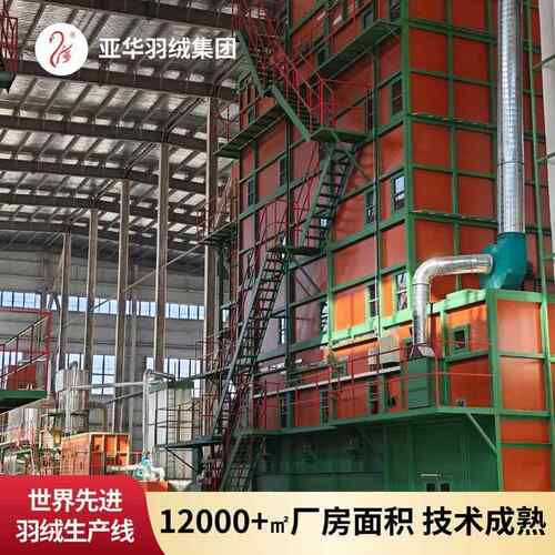 9标广POG检品质新95白鸭绒高清洁蓬松水洗国5纯白鸭绒
