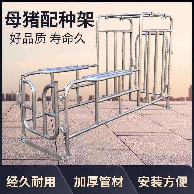 母猪配种架升降猪用配种栏矮脚配种器热镀锌落地配种架采精支架
