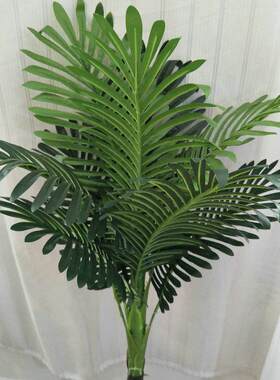 新款直销 丝印过胶仿真植物 绿色散尾叶 婚庆居家装饰仿真植物