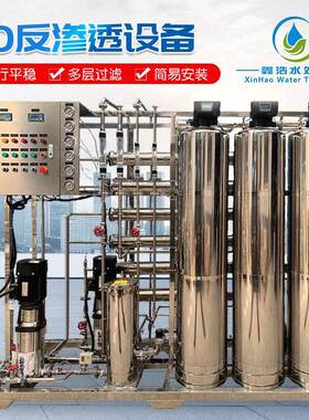 工业双级反渗透设备0.5吨1吨水处理纯水机车用尿素超纯水净水器