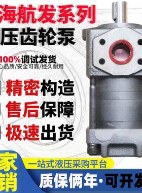 上海航发齿轮泵NBZ2-G10F G12F G16F NBZ3-G20F G25F G32F NBZ4 5