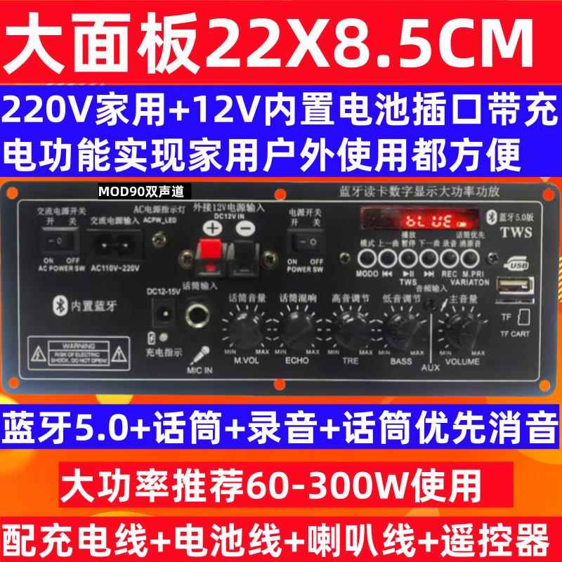 全新大面板22X8.5CM双声道充电内置12V电池插口兼容家用电压功放