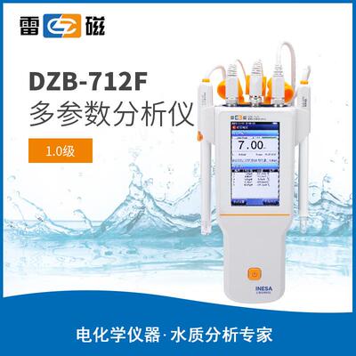 上海DZB-712F型便携式多参数分析仪