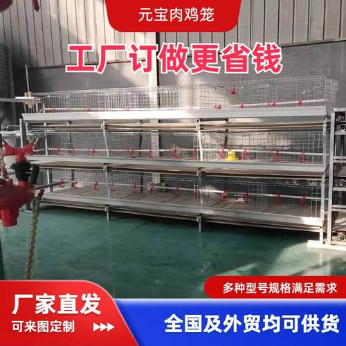 元宝笼养殖成年肉鸡笼全自动传送喂料清粪鸡用养殖笼可养殖场