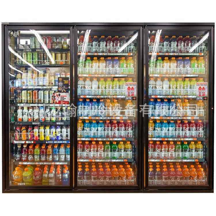 啤展LG-3PX示柜酒 饮料展示留样展柜冷立式冰柜 保鲜藏柜示柜商用