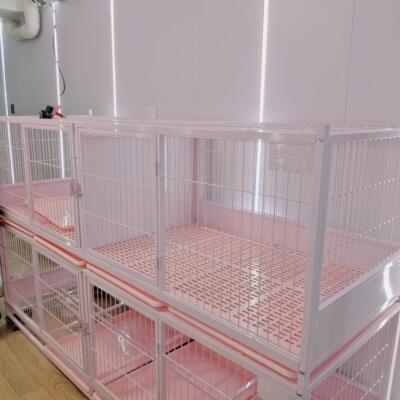 金奥新款垫板款猫笼宠物笼猫笼子宠物店猫舍寄养展示繁育养殖家庭