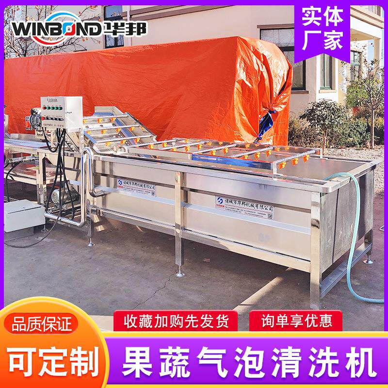 菠菜小油菜清洗除杂设备 果蔬清洗流水线 蘑菇气泡清洗机设备