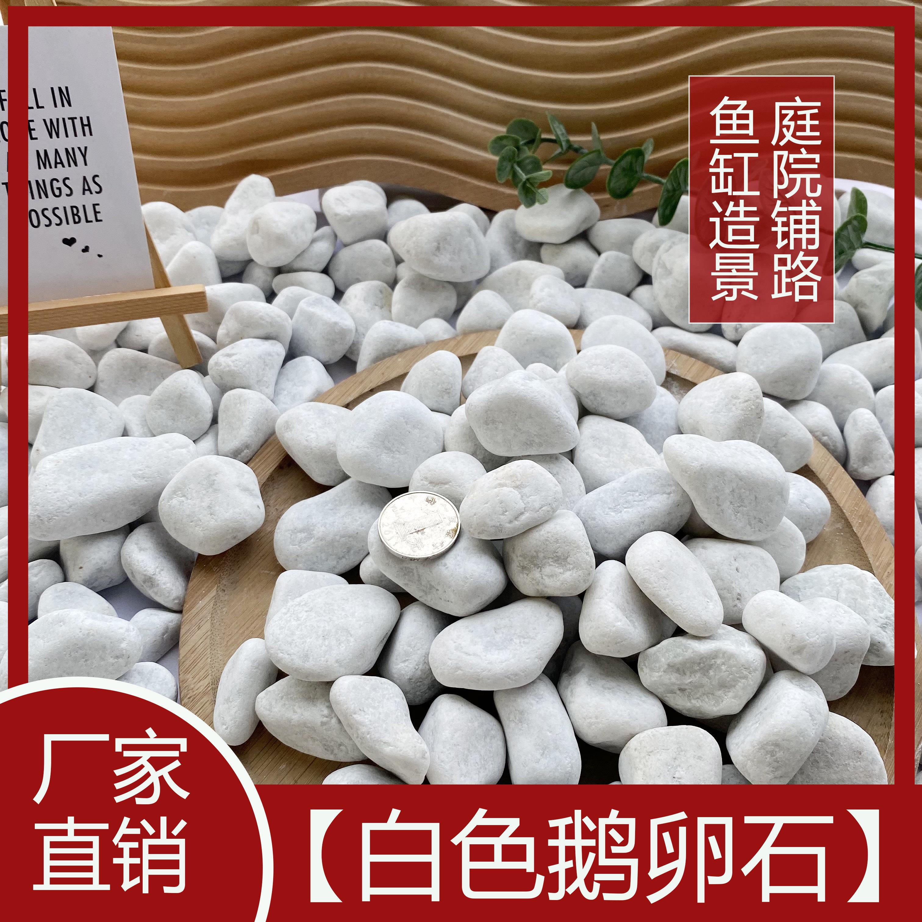 白色鹅卵石庭院铺路铺地小白石头造景景观白石子多肉盆栽铺面石