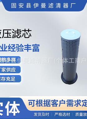 装载机挖掘机变速箱11096818 SH53386 HY90797 10036935液压滤芯