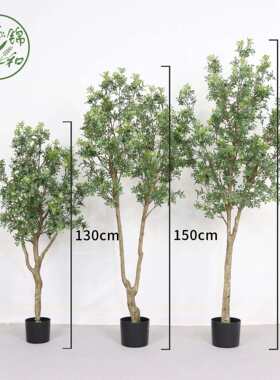 高端仿真九里香树大型落地装饰绿植盆栽室内家居摆件橱窗植物盆景