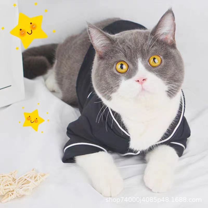 猫咪衣服秋冬装宠物睡衣泰迪比熊法斗幼犬博美小型犬服饰