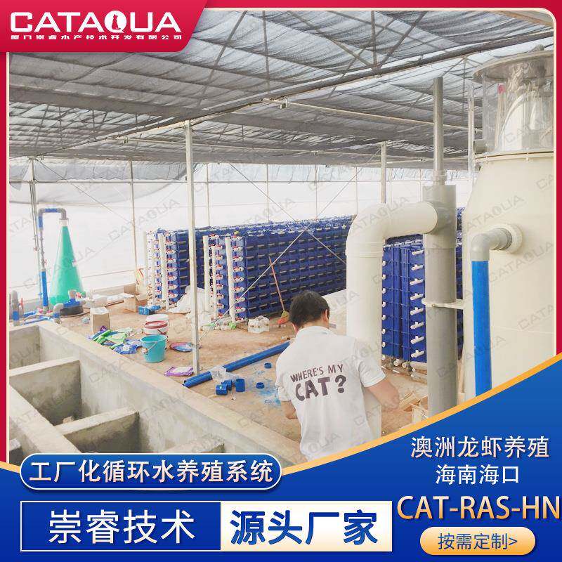 技术澳洲龙虾工厂化循环水养殖系统渔业养殖过滤设备