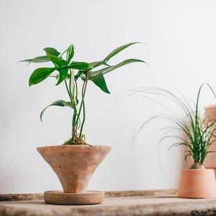 复古手工斗笠型陶盆带托盘苔藓球花盆 此莳 个性