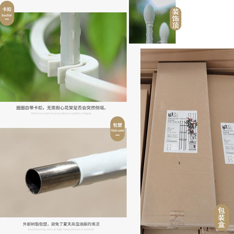 园艺月季花架铁线其它园艺用品