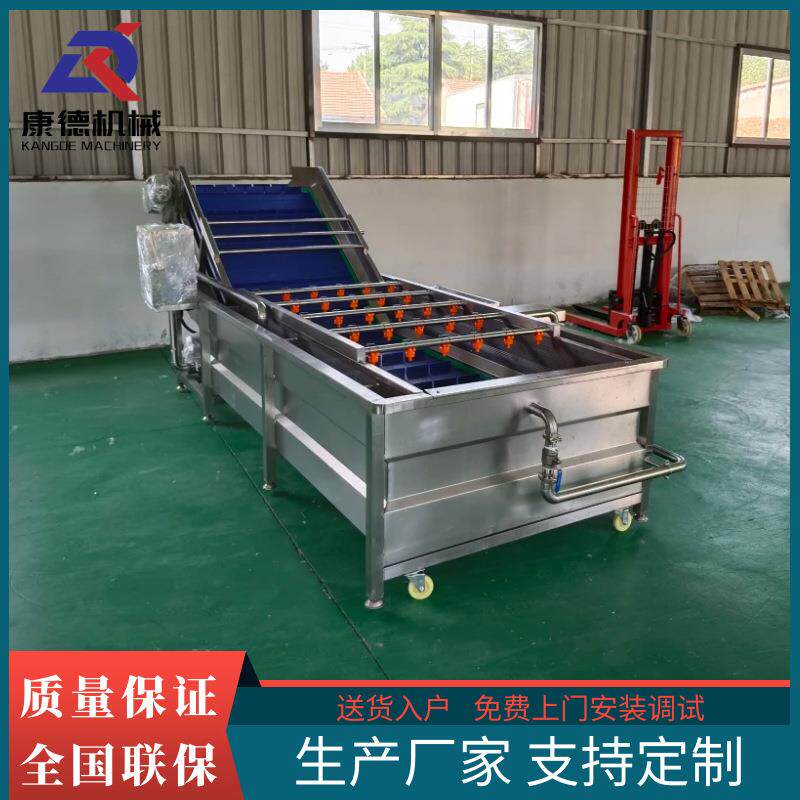 自动进出料西梅干气泡清洗机葡萄干清洗风干设备桂圆肉清洗机