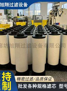 0532140159真空泵滤芯 RA0302油雾分离器 R5RA0165D/0205排气过滤