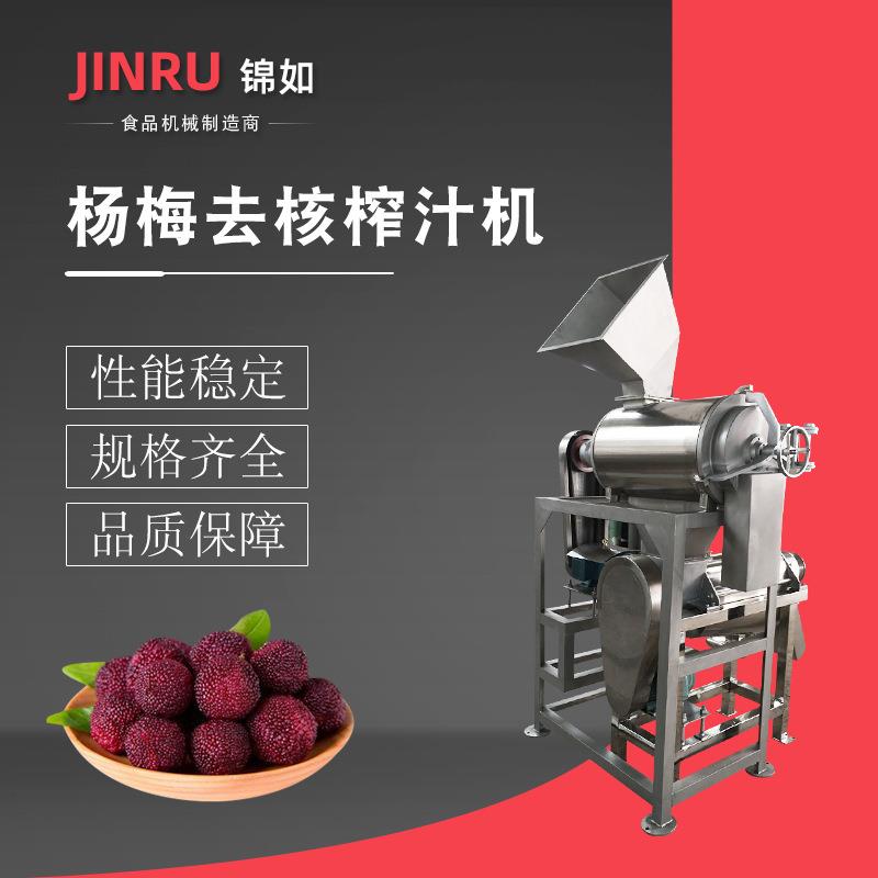 杨梅去核螺旋榨汁机组商用果蔬榨汁加工设备大型工业榨汁机