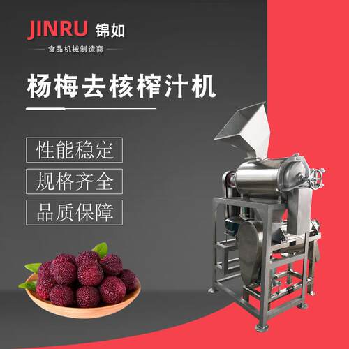 杨梅去核螺旋榨汁机组商用果蔬榨汁加工设备大型工业榨汁机