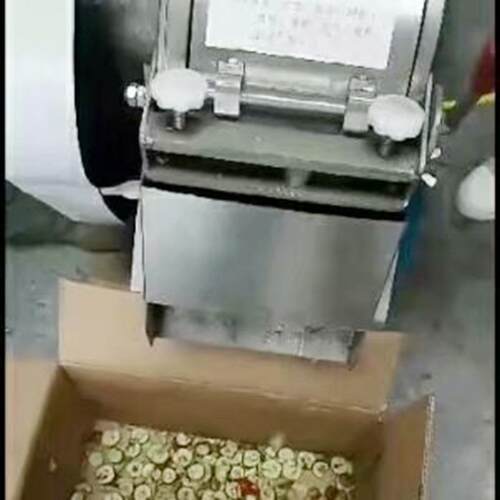 售不钢锈切片机 食餐厅堂LD-QPJ-A肉丸家用电动切片出机