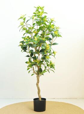 仿真桂花树落地盆栽室内桂花树开花装饰品客厅庭院绿色景观植物