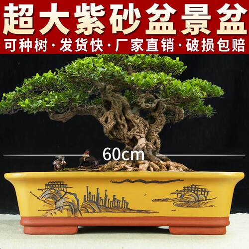 宜兴紫砂花盆特价清仓特大号四方长方形盆景盆方形马槽专用陶瓷盆